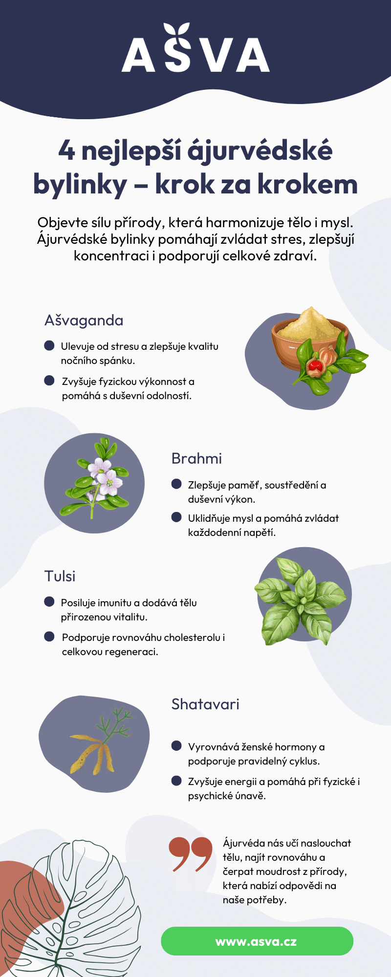 Infografika: Přehled 4 nejúčinnějších ájurvédských bylinek